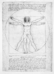 Proporce lidské postavy (po Vitruviovi), kolem roku 1492 (faksimile)