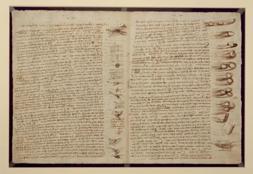 Stránka z Codexu Leicester, 1508-12 (sépiový inkoust na lněném papíře)