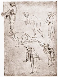 Klanění pastýřů, c1478-1480.