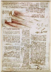 Leonardo da Vinci - RCIN 912660, Studie vody cca 1510-1512, 745082-1634741785