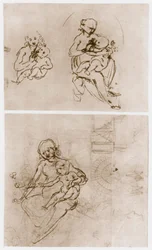 Madonna s květinou, c1478.