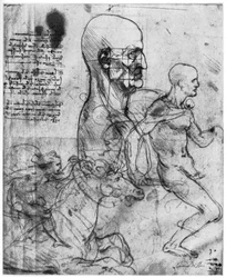 Profil mužské hlavy a studie dvou jezdců, c1490 a c1504 1954.
