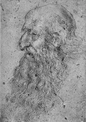 Profil starého vousatého muže nalevo, c1480 1945