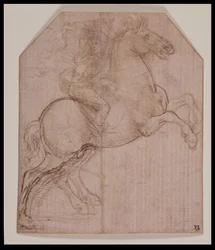 Rider on Rearing Horse, c.1481-82 (stříbrný hrot, pero a hnědý inkoust na připraveném papíře)