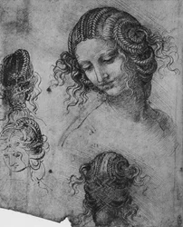 Studie ženské hlavy a účesu, c1480 1945