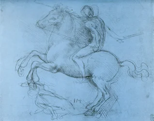 Studie k pomníku Sforza, c1488-1493 1954.