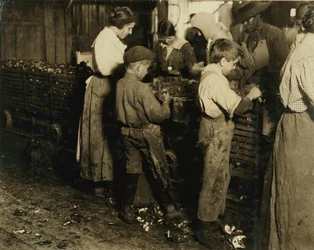 10letý Jimmie, který loupe 3 roky (6 hrnců denně) s 11letým chlapcem, který loupe 7 hrnců ve Varn und Platt Canning Co., Bluffton, Jižní Karolína, 1913