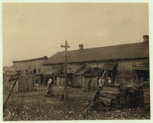 Bydlení pro asi 50 zaměstnanců společnosti Maggioni Canning Co., Port Royal, Jižní Karolína, obklopené bažinami a na staré hromadě mušlí, 1912