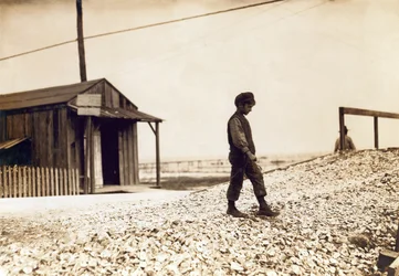 Jedna z mladých ústřic, Pass Christian, Mississippi, únor 1911 (sépiová fotografie)