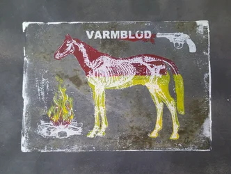 Anatomie teplokrevných koní