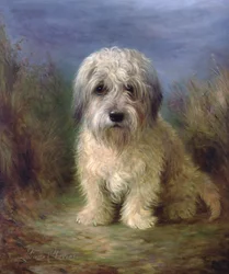 Dandie Dinmont Terrier (olej na plátně)