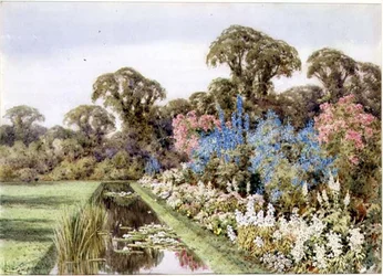 Herbaceous Border u rybníka (akvarel)