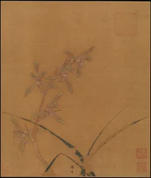Orchideje, druhá čtvrtina 13. století (albový list; tuš a barva na hedvábí)