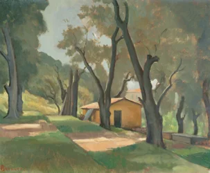 Terasovitá zahrada, Mentone