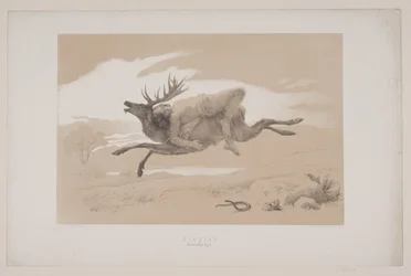 Let, p. 11, ilustrace k filmu Christiana Winthera „Flight of the Deer“