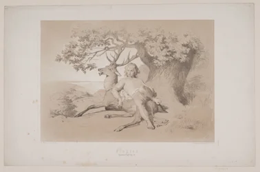 Let, p. 23, ilustrace k filmu Christiana Winthera „Flight of the Deer“