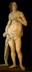 Venuše (tempera na dřevě, cca 1490)