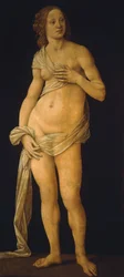 Venuše