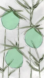 Abstrakt: Green Botanicals