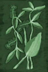 Botanické odstíny zelené