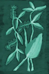 Deep Green Botanicals