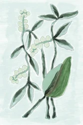 Zelená botanická akvarelová barva