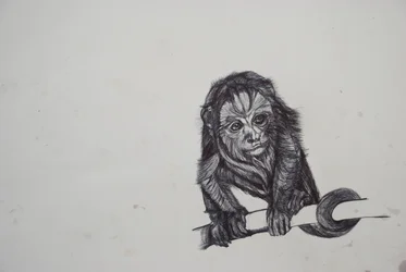 Monkey Business,2016,(bic biro na papíře)