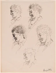 Studie hlavy