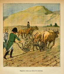 Ilustrace Bombled Louis (1862-1927) z knihy „Památník svaté Heleny“ od hraběte Emmanuela de Las Cases (1766-1842): U sv. Heleny sleduje císař Napoleon brázdu k pluhu, soukromá sbírka