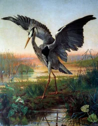Volavka. Ilustrace k bajce "" Volavka a šnek "" Jean de La Fontaine