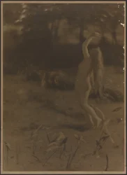 Clytie