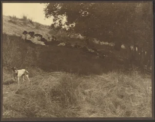 [Skupinová fotografie „Odpočinek na poli se psem“]