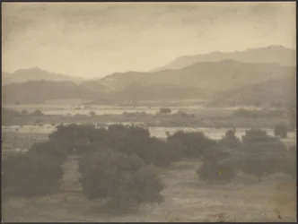 [Krajina s nízkými stromy]