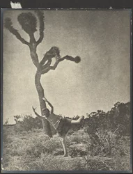 Lité a ladné - Dancing Joshua