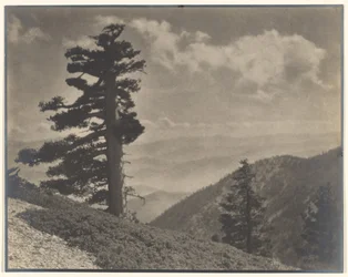 [Na hřebeni k Old Baldy]