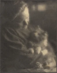 Domácí angora