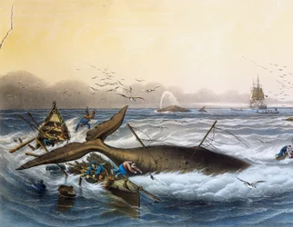 Lov velryb v jižních mořích, barevná litografie Louis Lebreton (zemřel 1866)