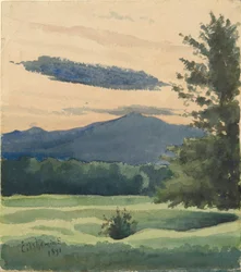 Zelená louka