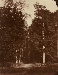 Les v Saint-Cloud, 1859-1860 (foto)