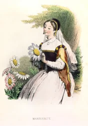Allegorie , la marguerite