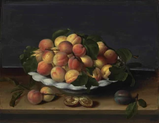 Meruňky v keramické míse se švestkami na kamenné římse