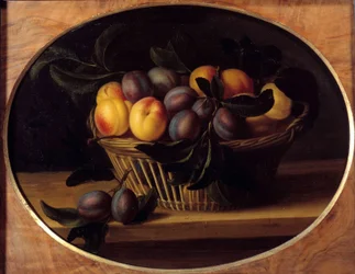 Zátiší s Peches and Plums Malba Louise Moillona (1610-1696) 17. století Sun. 0,37x0,46 m