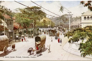 A Street Scene, Pettah, Colombo, Ceylon, c.1900-20 (ručně kolorovaná fotografie)