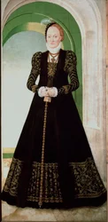 Portrét Anny Dánské (1532-1585) Manželka knížete kurfiřta Augusta Saského (1526-1586) Obraz Lucase Cranacha Mladého (1515-1586) 1565 Ne. 215x104 cm Vídeňské Kunsthistorisches Museum