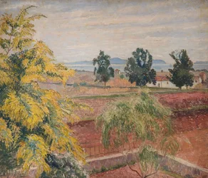 Mimosa Lavendau, 1923.