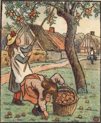 Sklizeň jablek, 1889