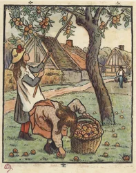 Sklizeň jablek, 1889