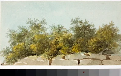 Olivy, země Ligurie (Akvarel, cca 1825)
