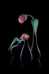 Elegantní zářivé tulipány