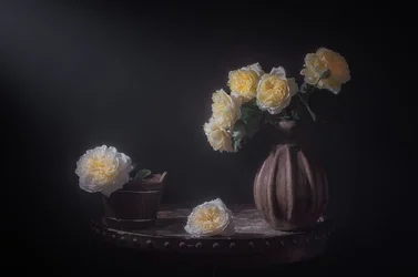 Elegantní žluté růže